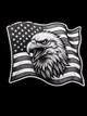 Bald Eagle Freedom Flag UV Decal